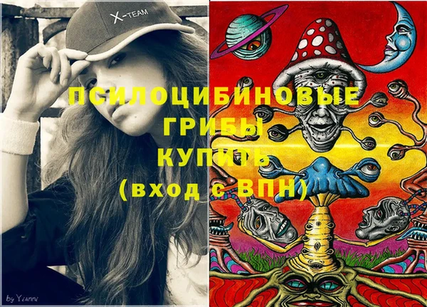 прущая мука Абаза