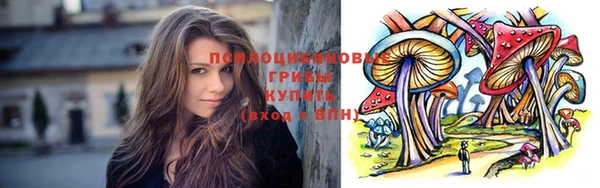 прущая мука Абаза