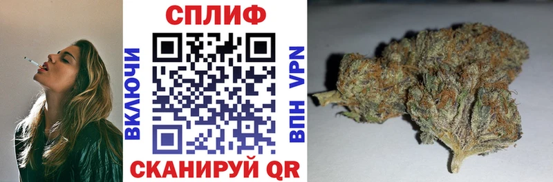 Бошки Шишки Amnesia Дмитриев